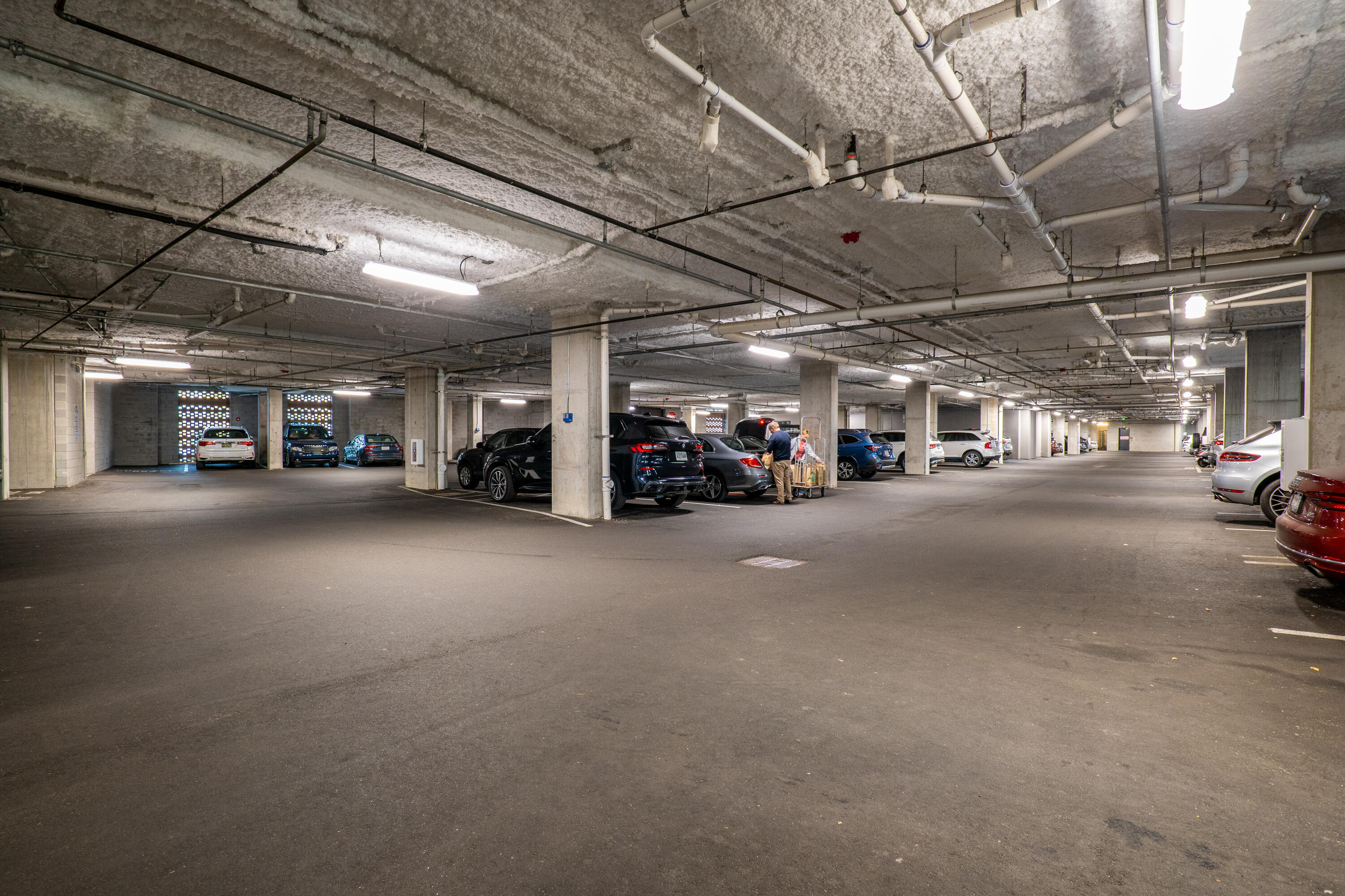 5 Gadsdenboro Street # 409