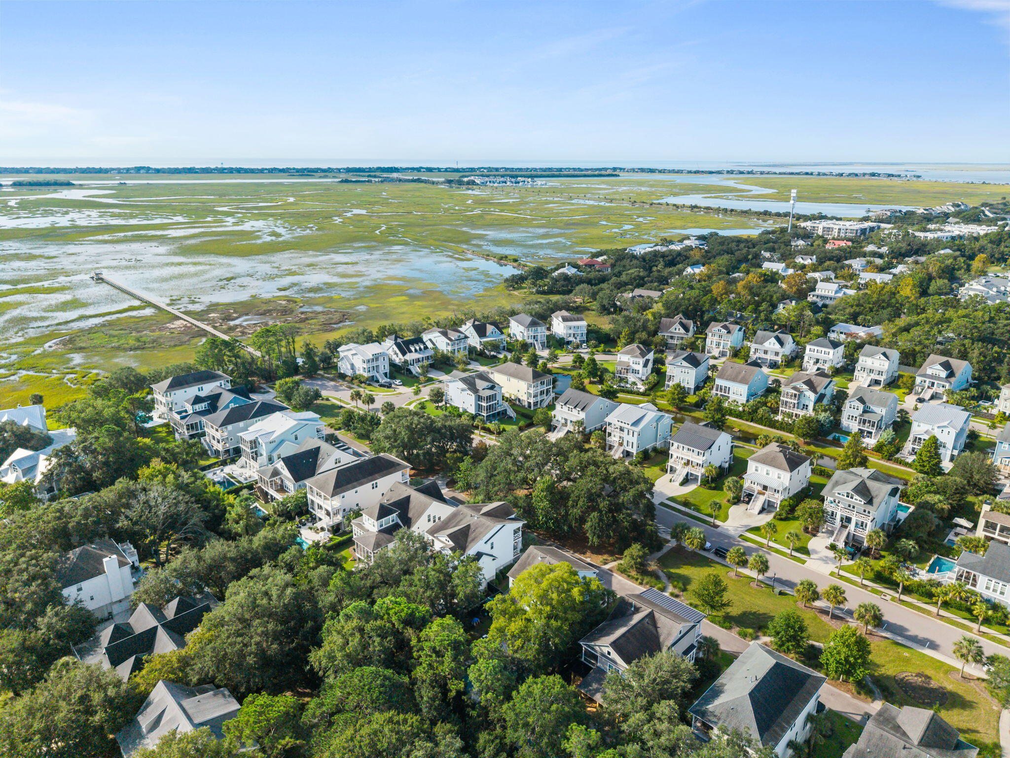 1517 Mossy Branch Way Way