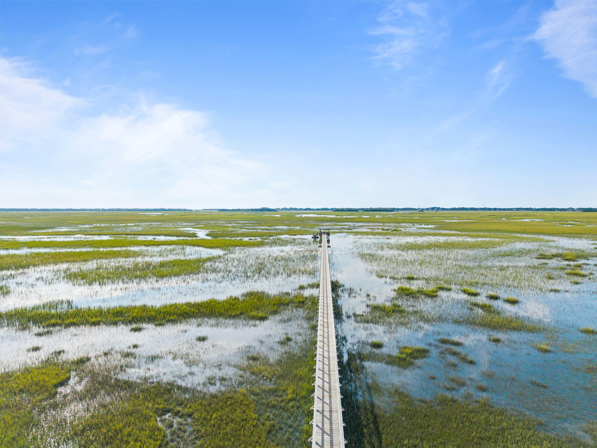 1517 Mossy Branch Way Way