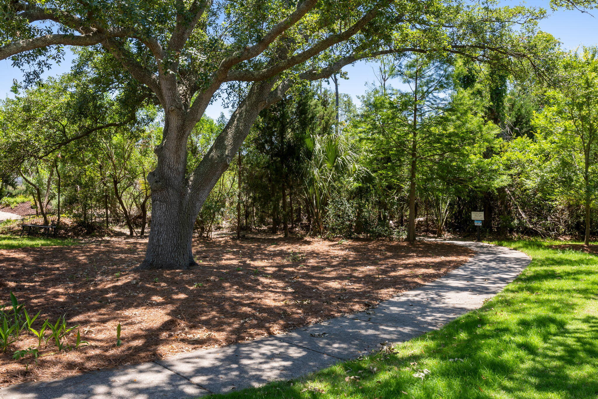 1525 Mossy Branch Way