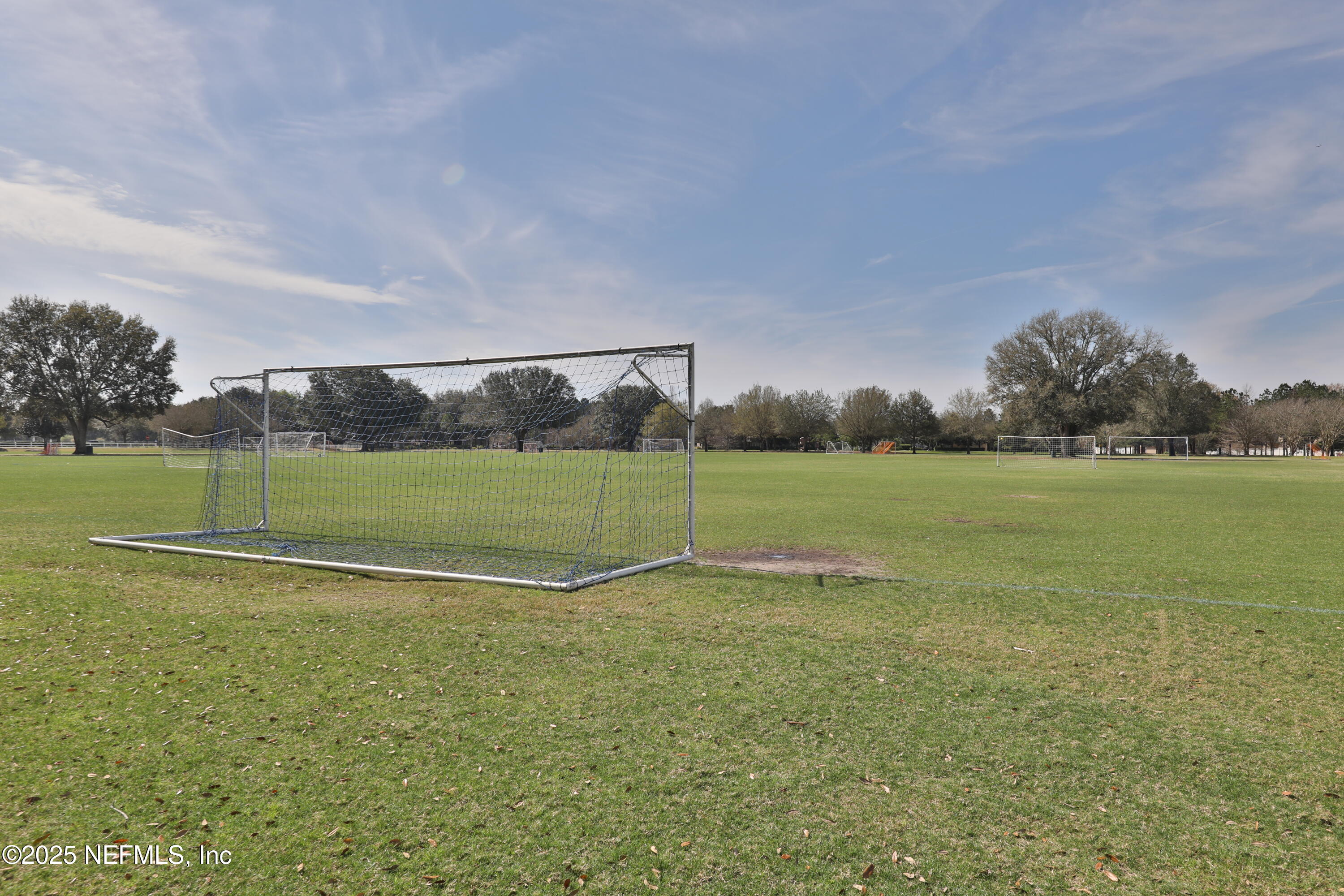 785 OAKLEAF PLANTATION Parkway 1634