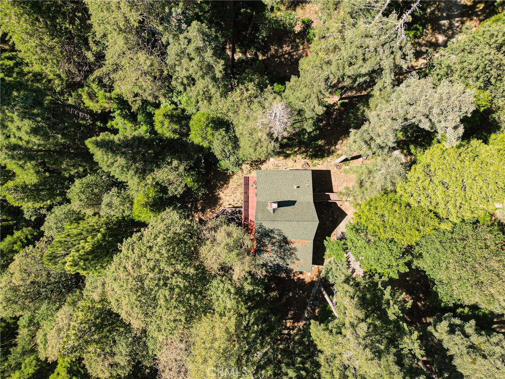779 Fern Road