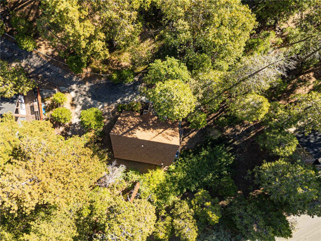 385 Birchwood Drive
