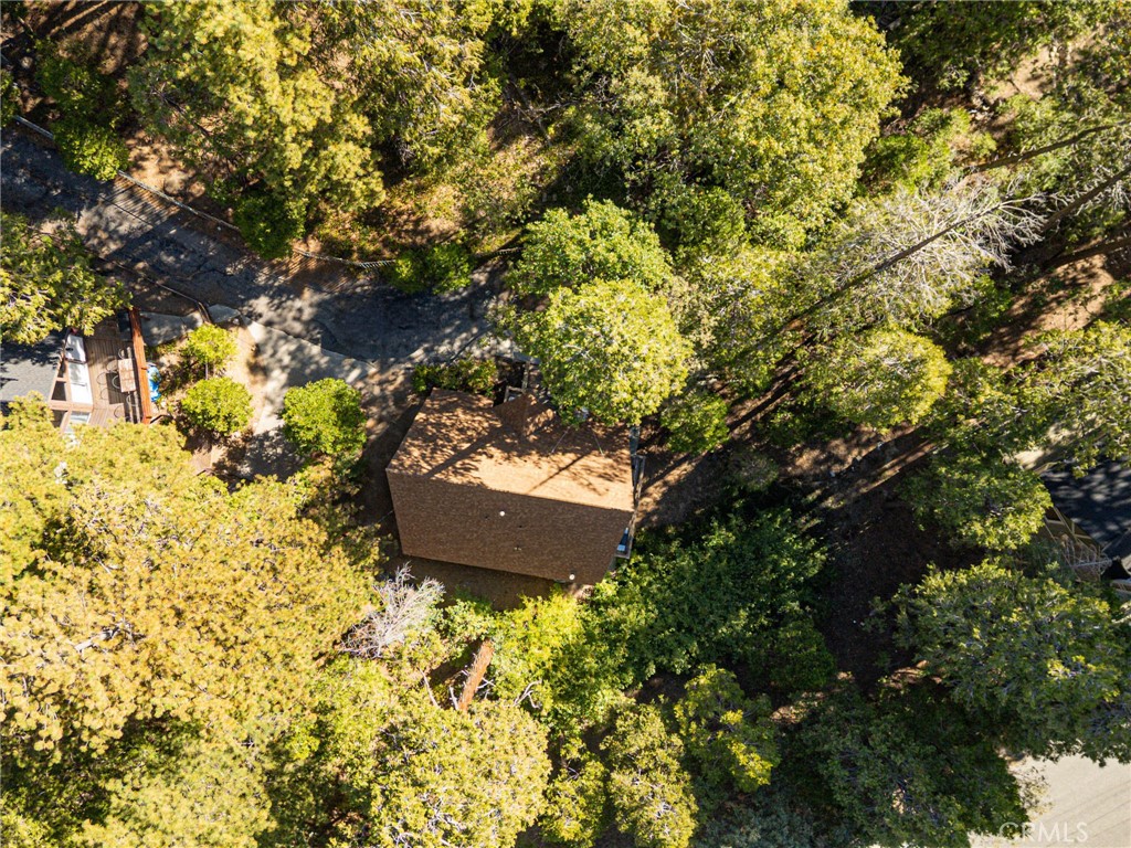 385 Birchwood Drive