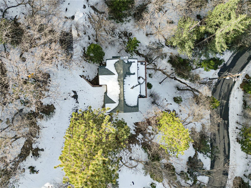 1419 Calgary