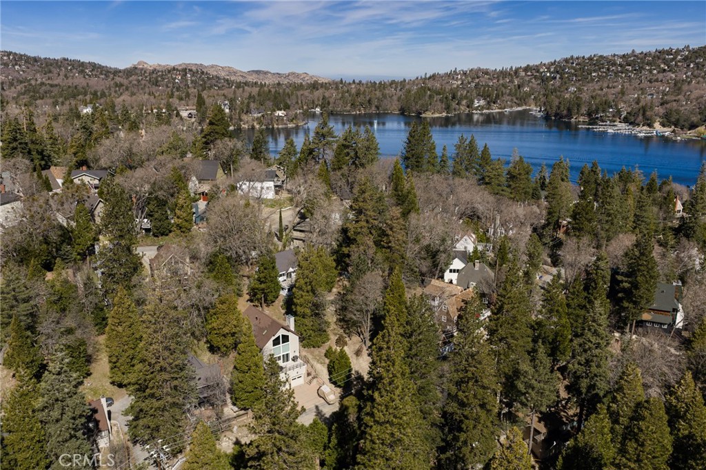 28989 Palisades