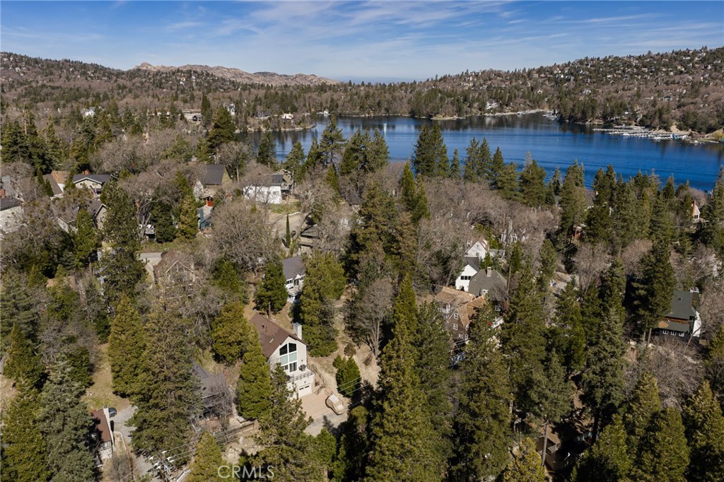 28989 Palisades
