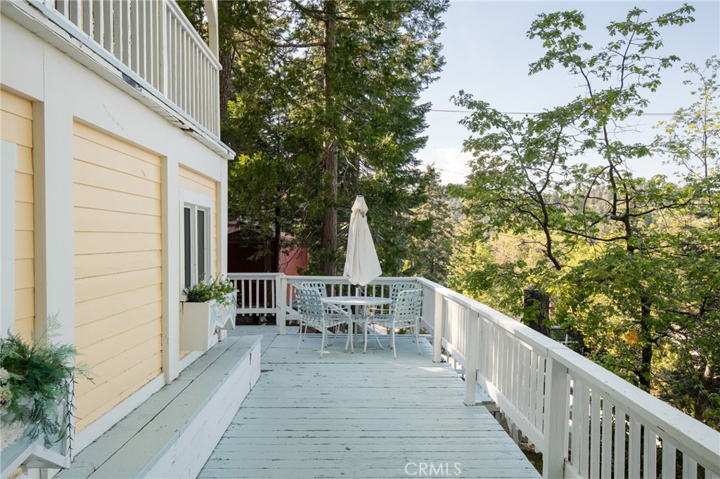 26335 Forest