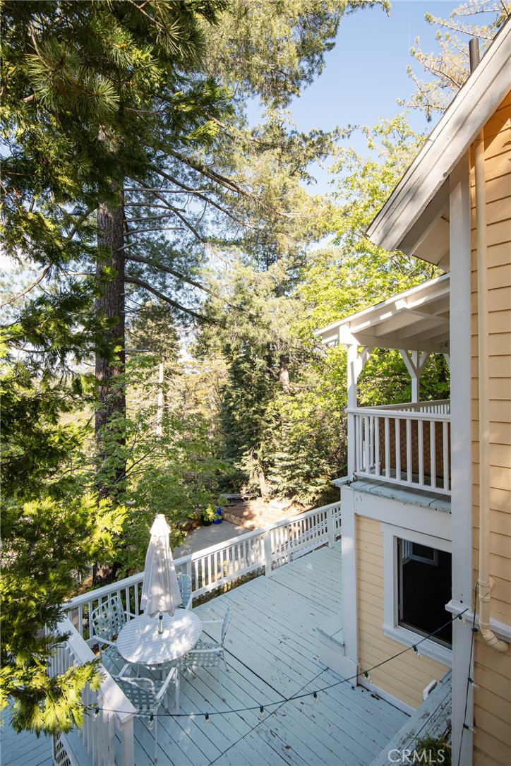 26335 Forest