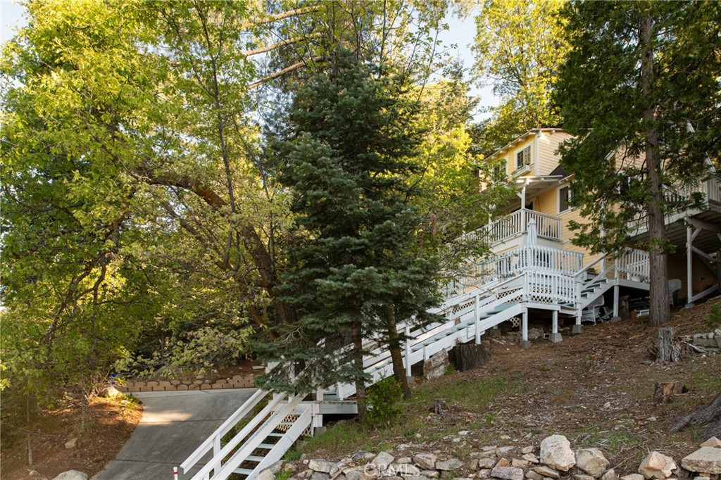 26335 Forest