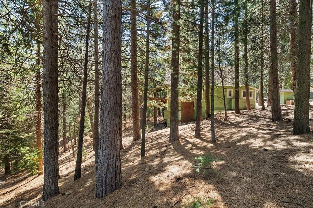 1163 Scenic Way