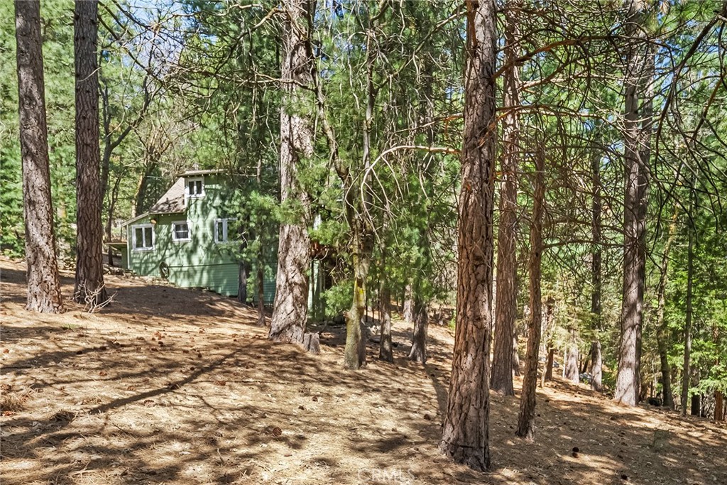 1163 Scenic Way