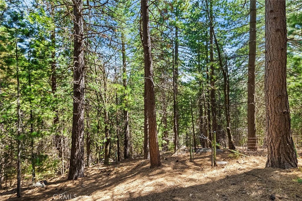 1163 Scenic Way