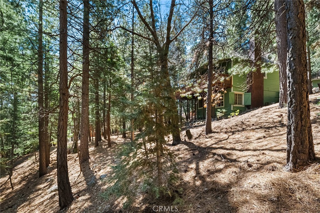 1163 Scenic Way