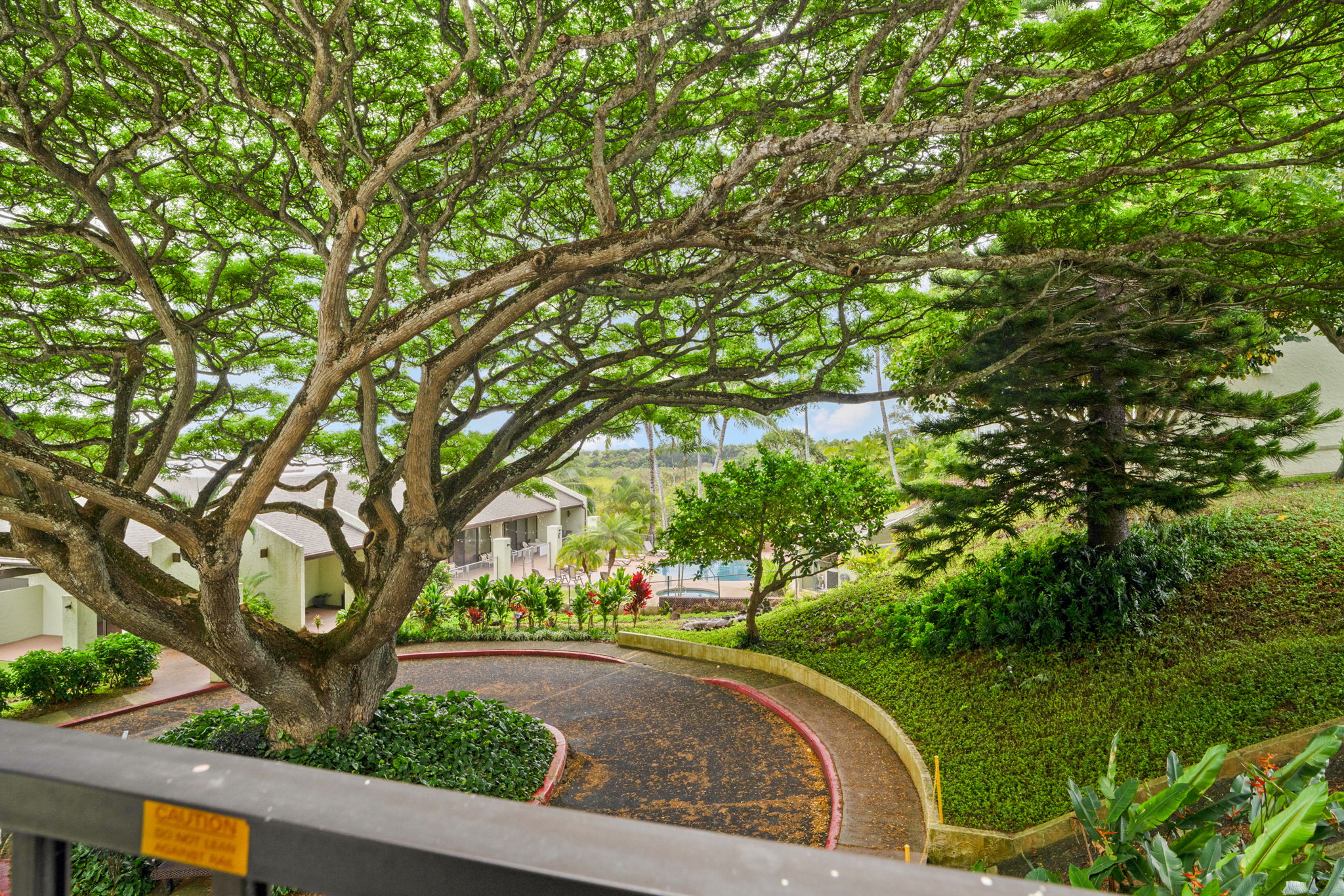 3-3400 KUHIO HWY B101