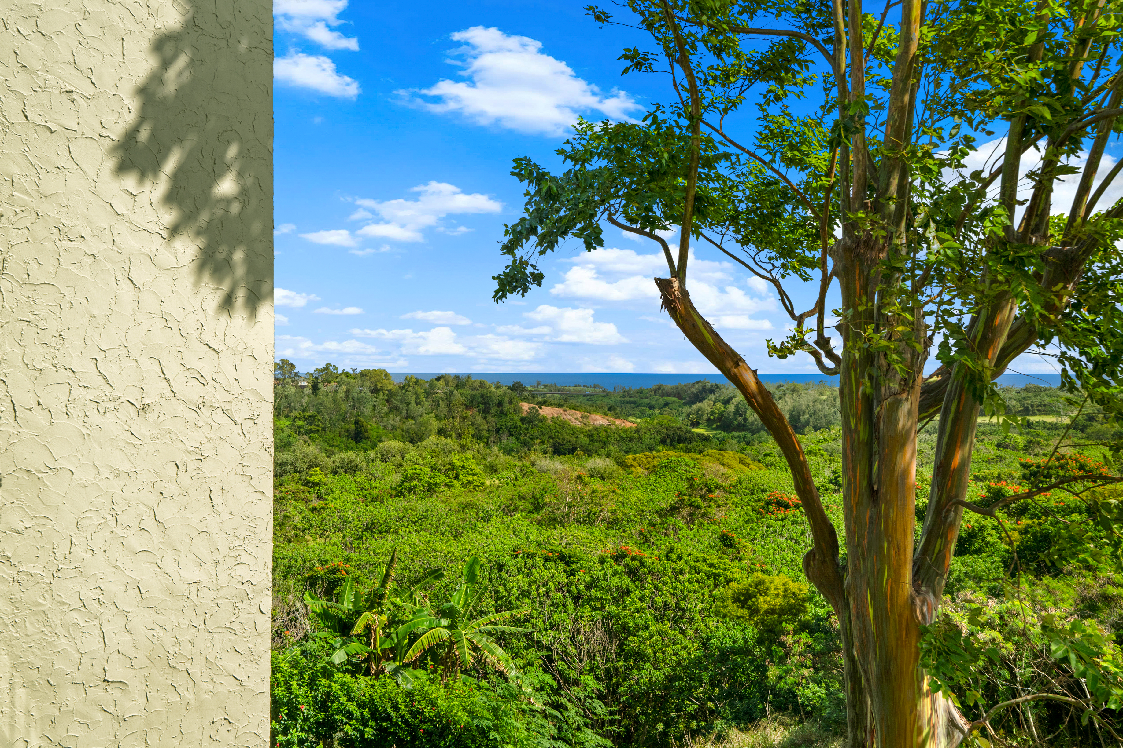 3-3400 KUHIO HWY A307