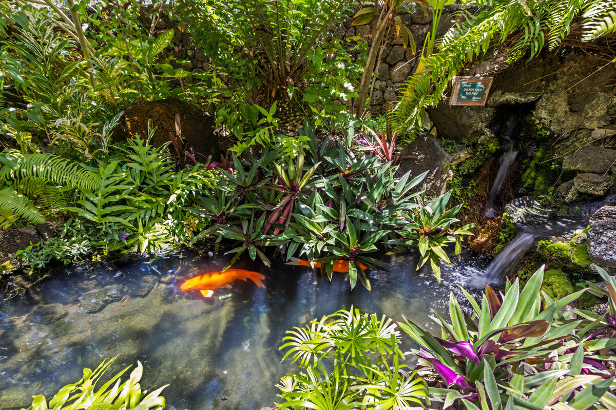 5061 LAWAI RD 235