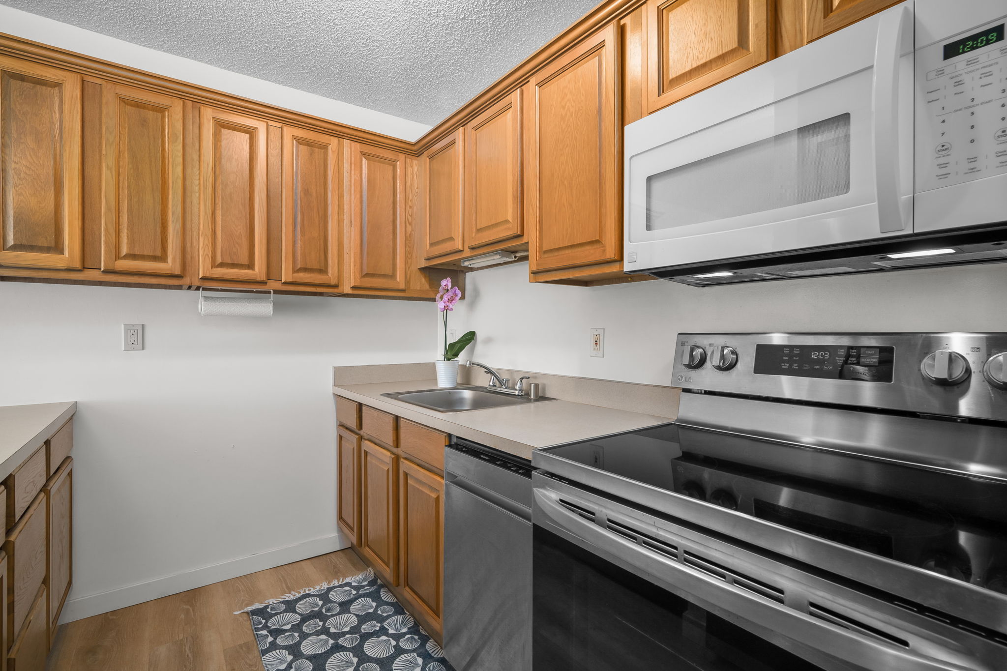 3-3400 KUHIO HWY B101