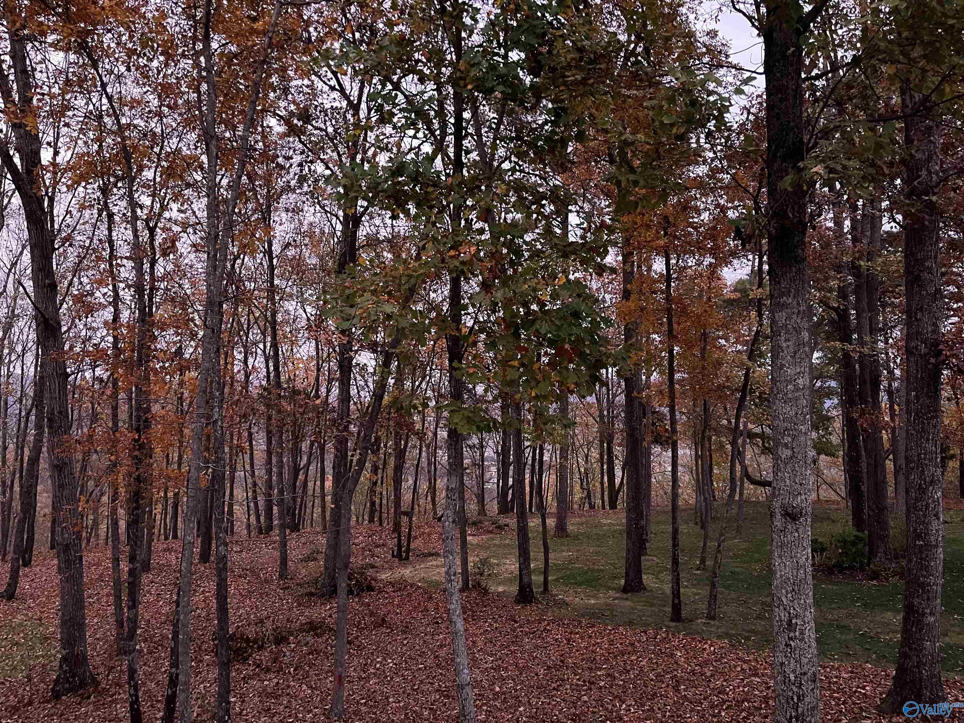 52 Bluff View Drive SE