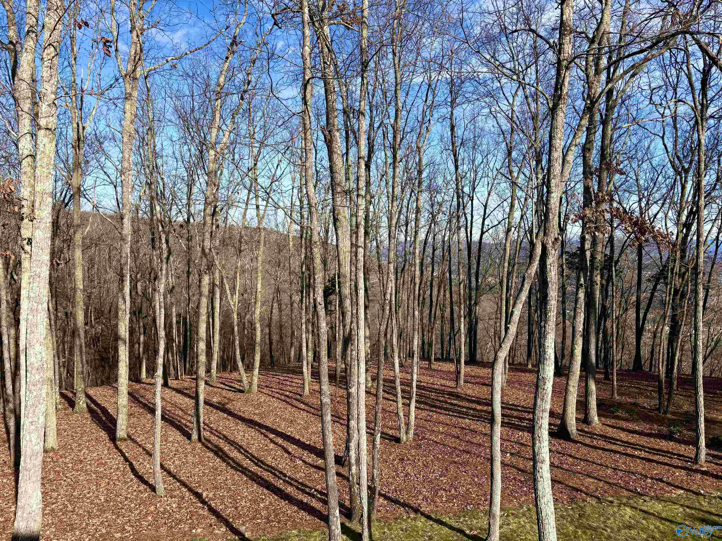 52 Bluff View Drive SE