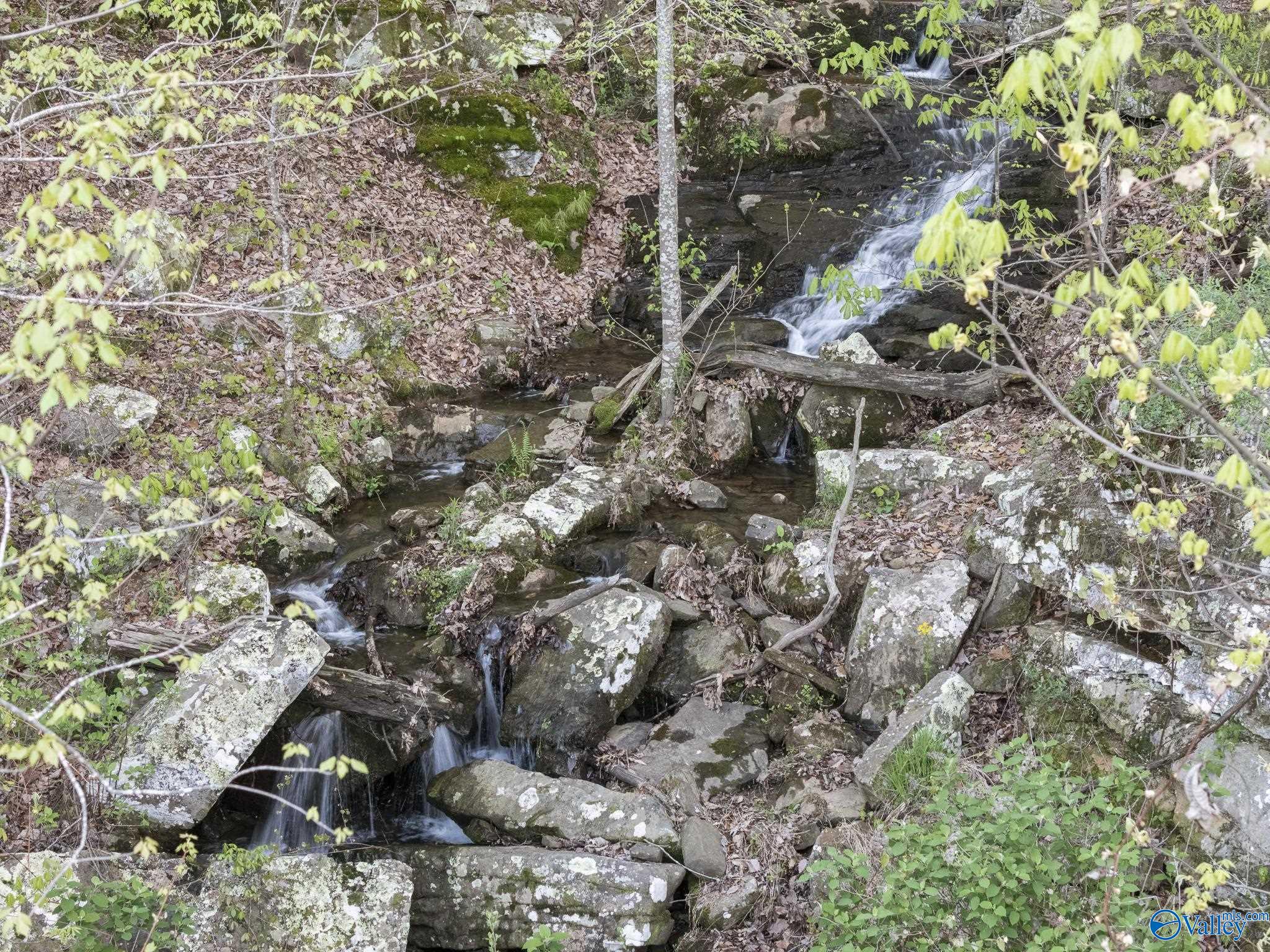 52 Bluff View Drive SE