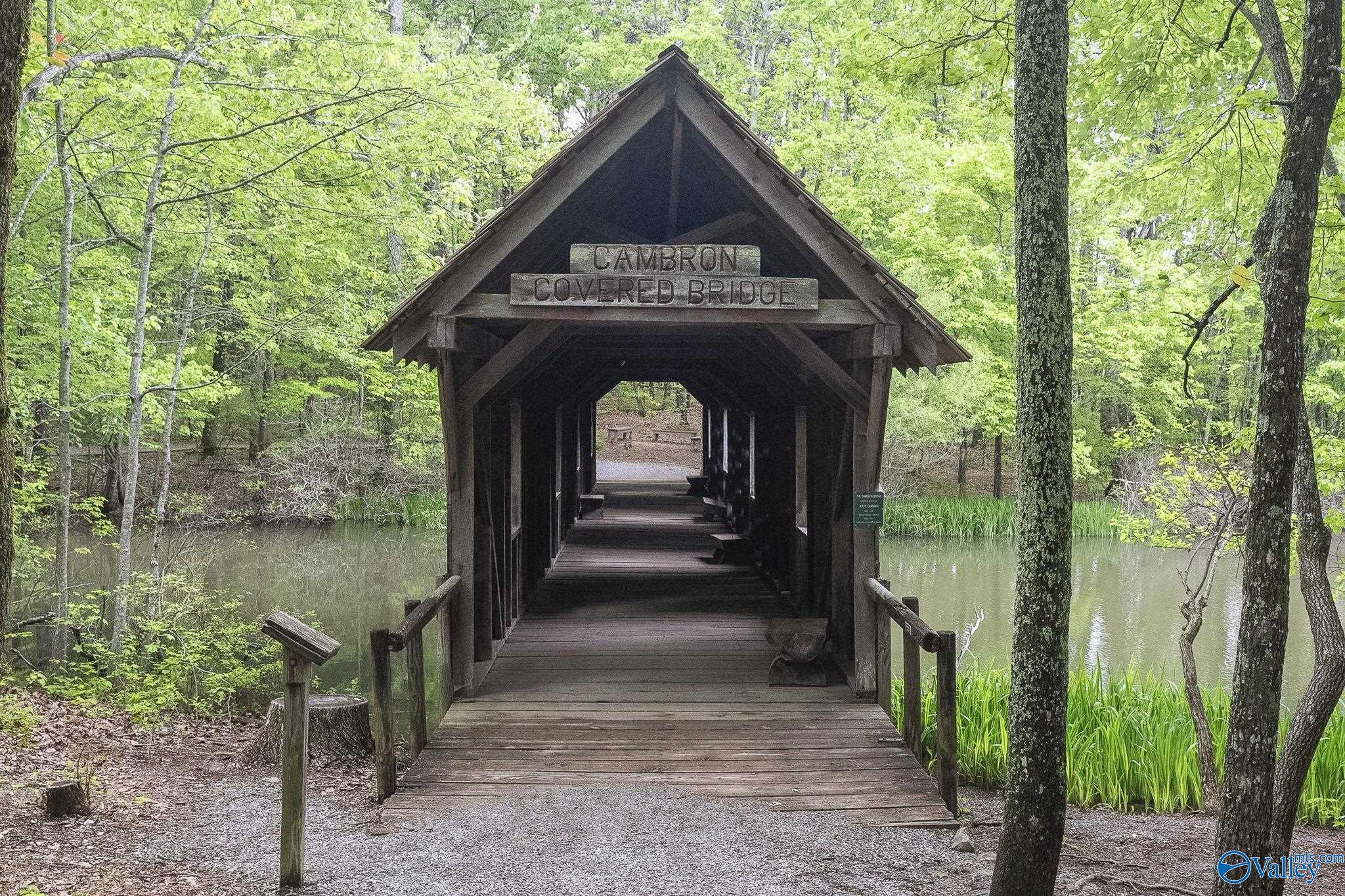 52 Bluff View Drive SE