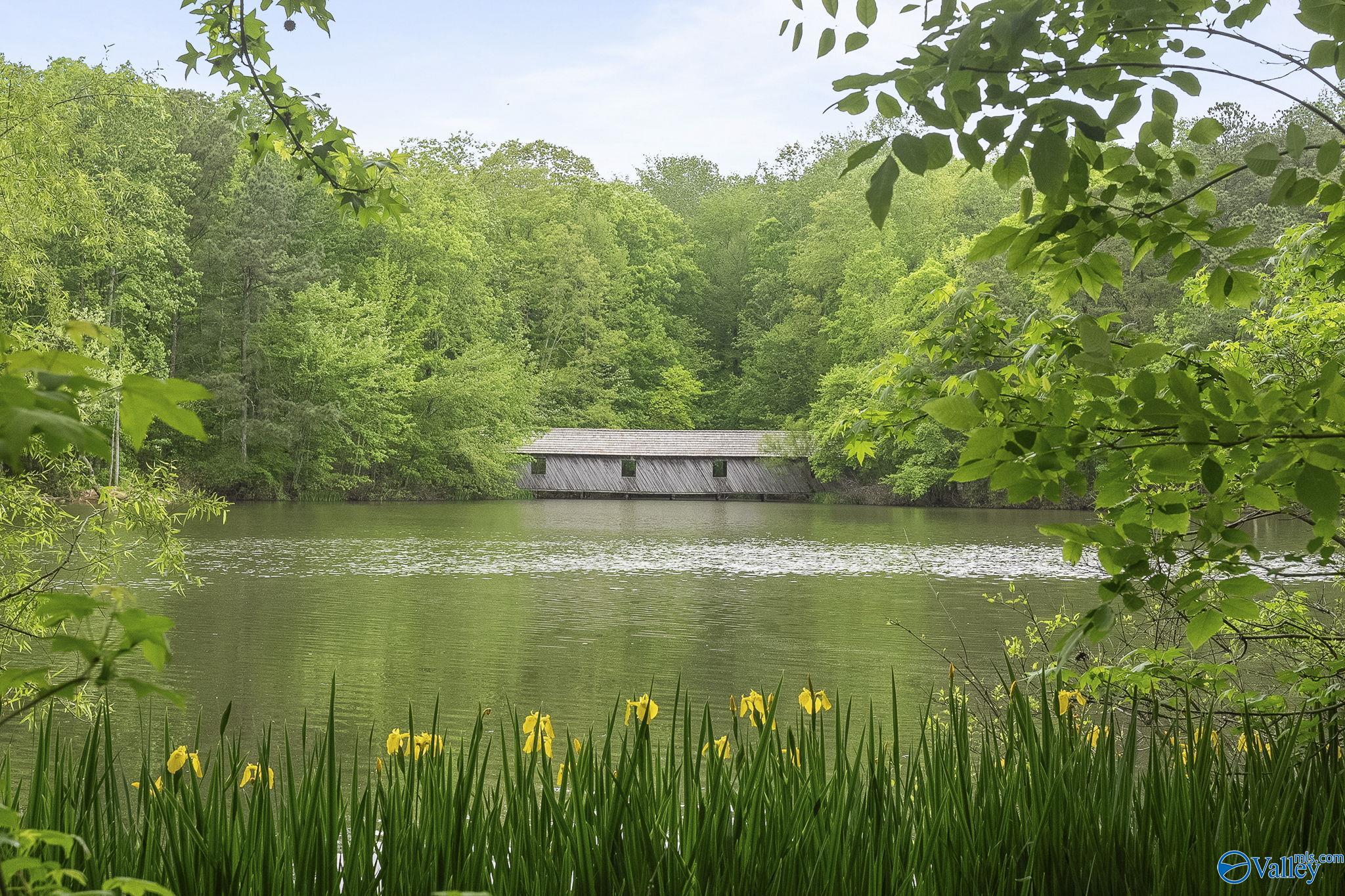 52 Bluff View Drive SE