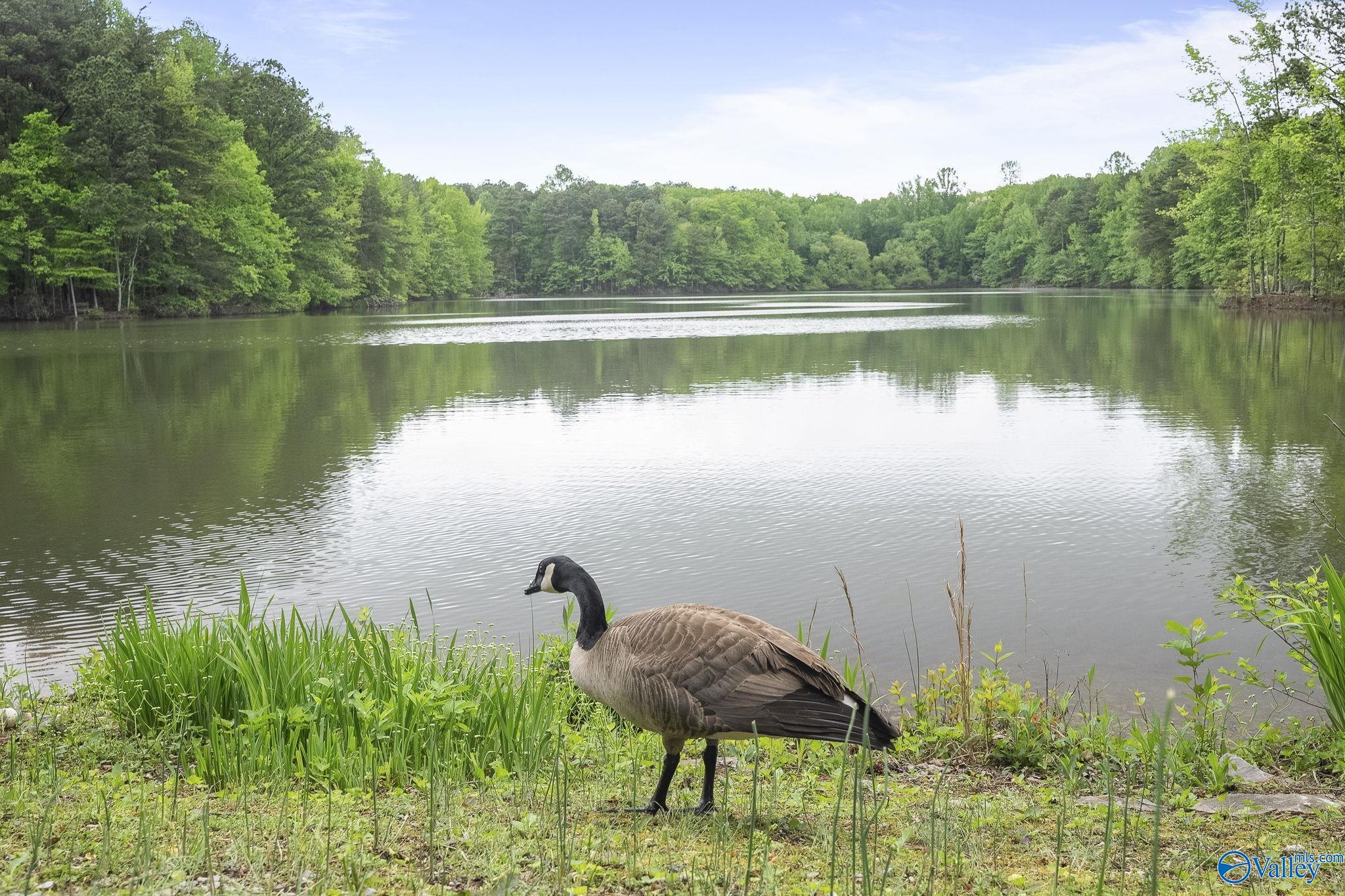 52 Bluff View Drive SE