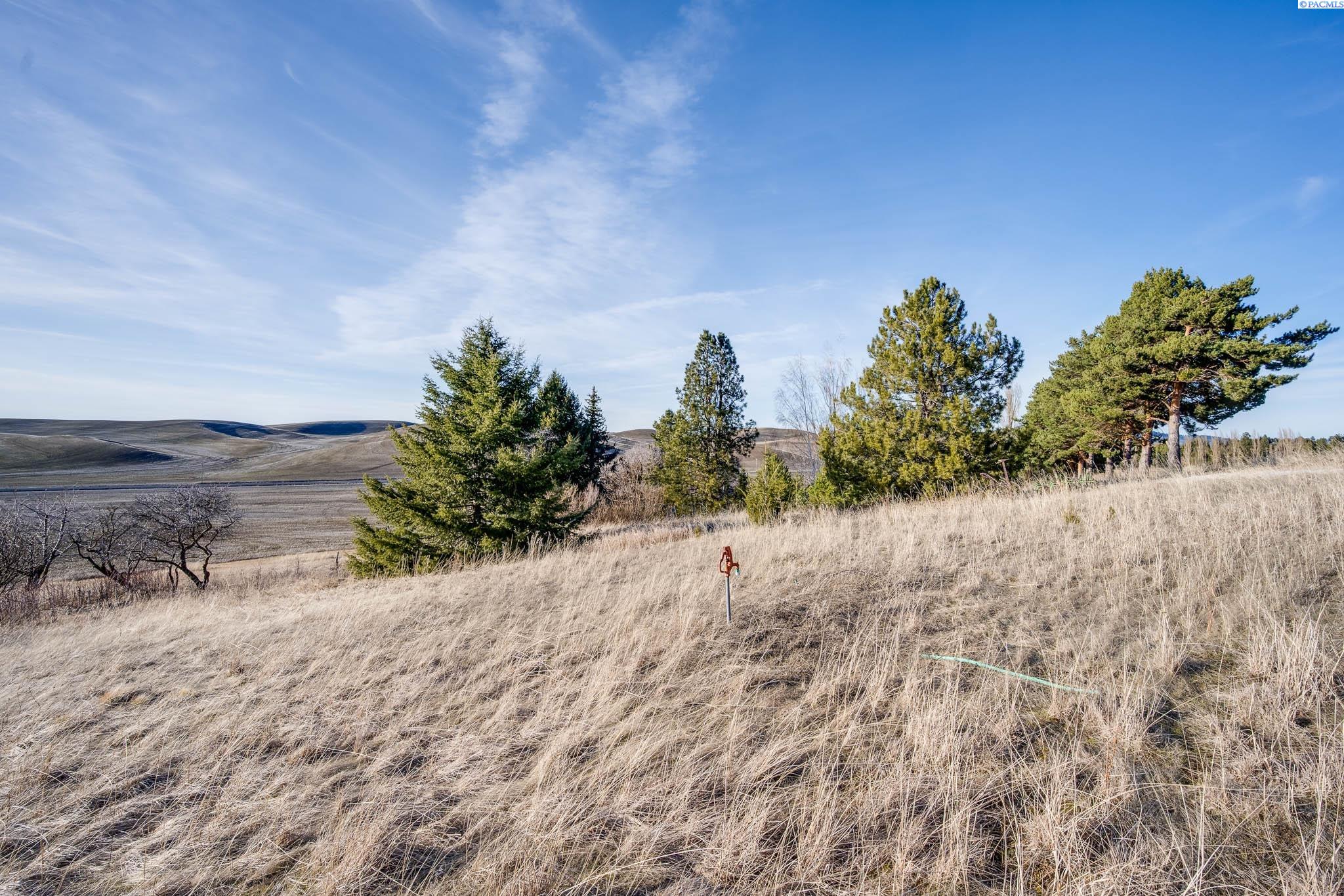 2854 Banner Rd