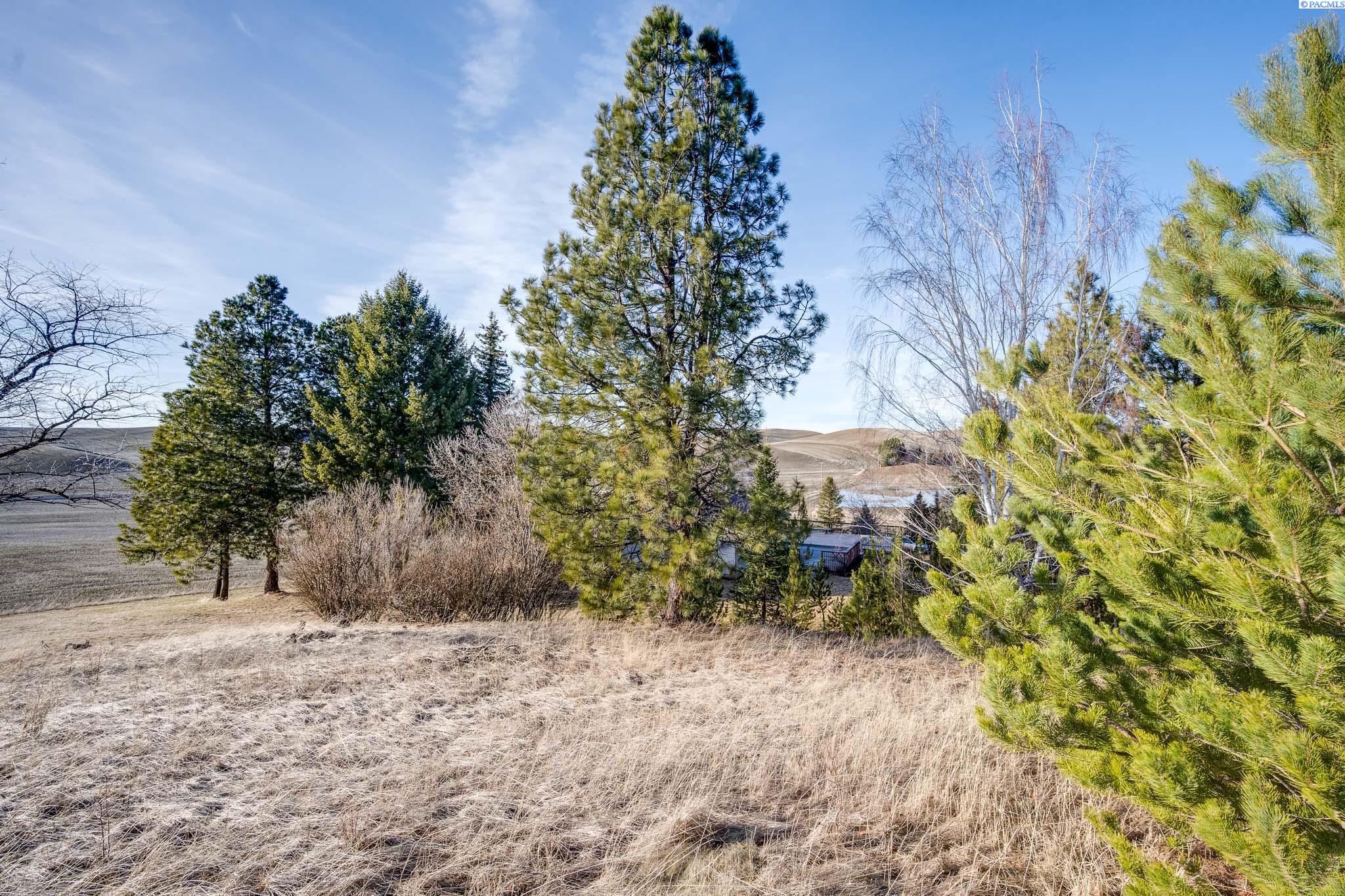 2854 Banner Rd