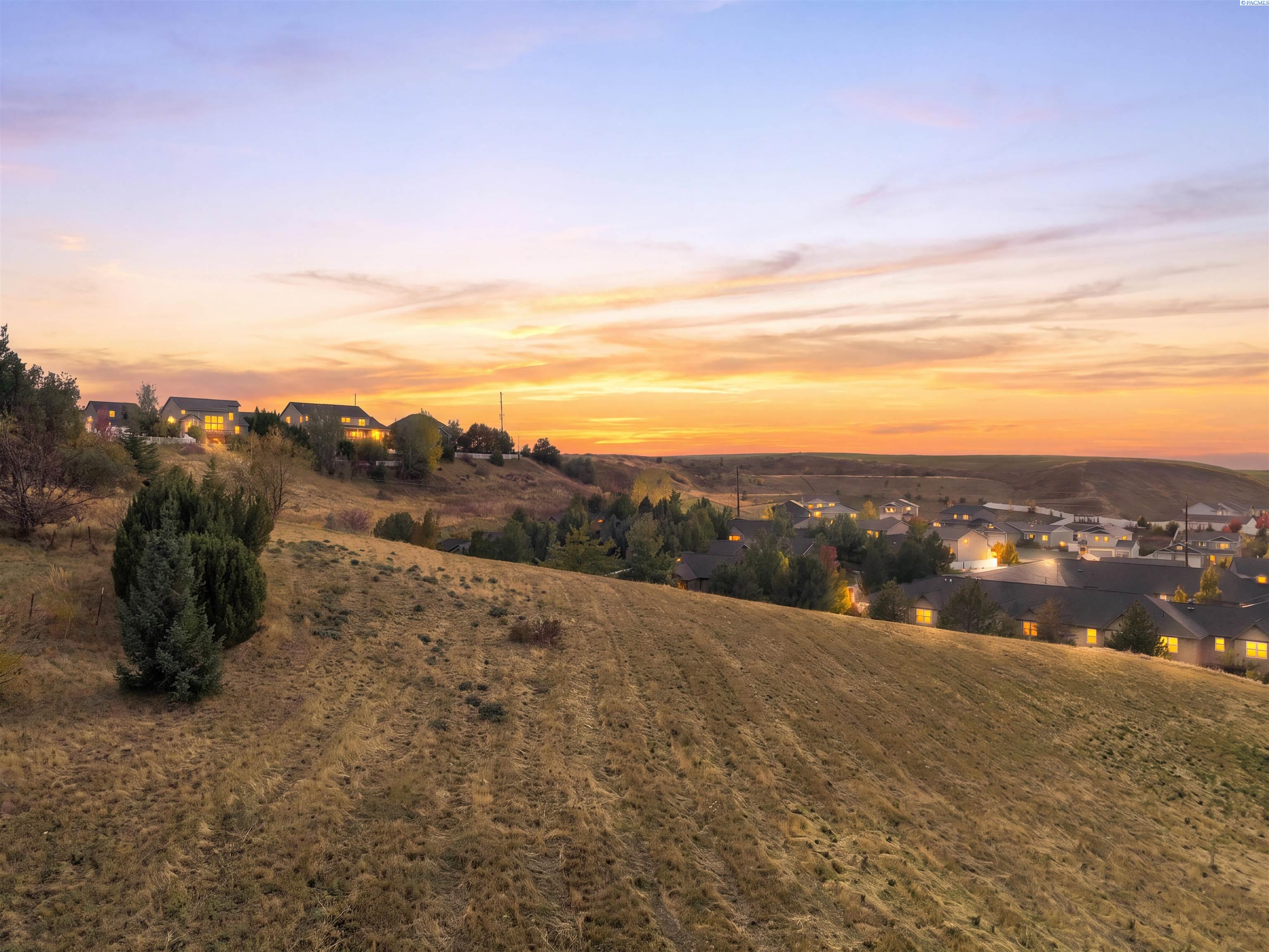 Mown grass slope with an evergreen shrub and a sunset sky over the Palouse