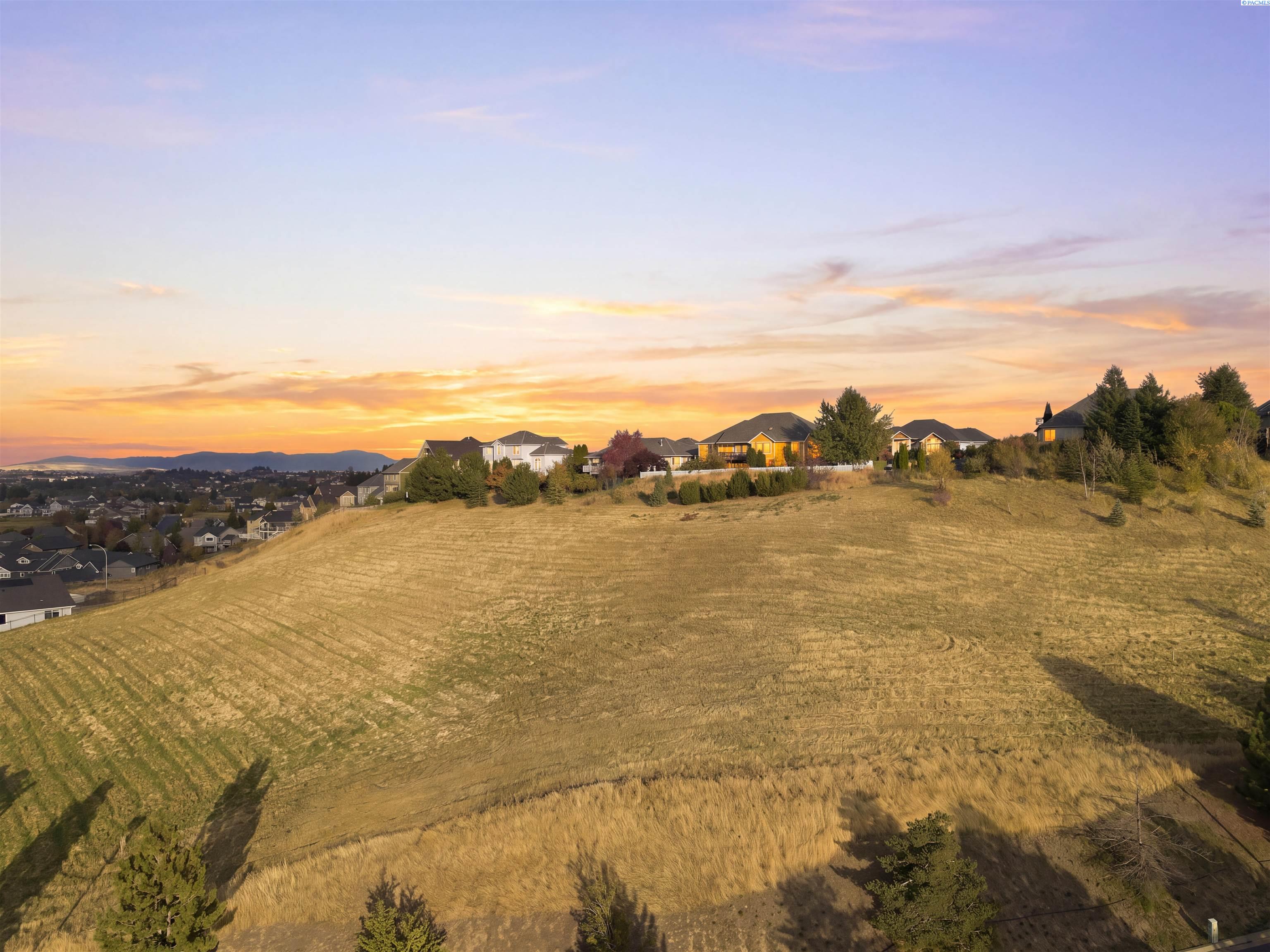 Grassy hillside at dusk with a row of homes along the horizon