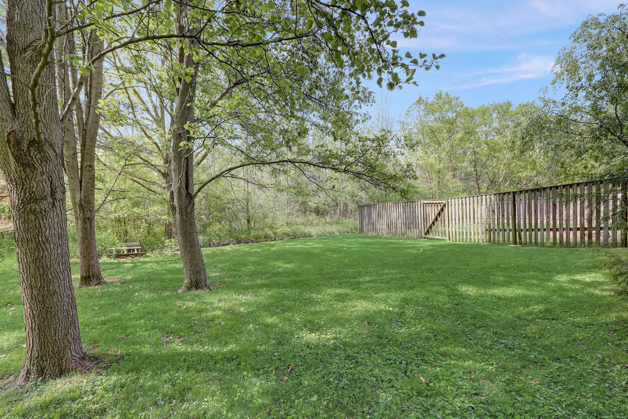 5501 Indian Cove Road