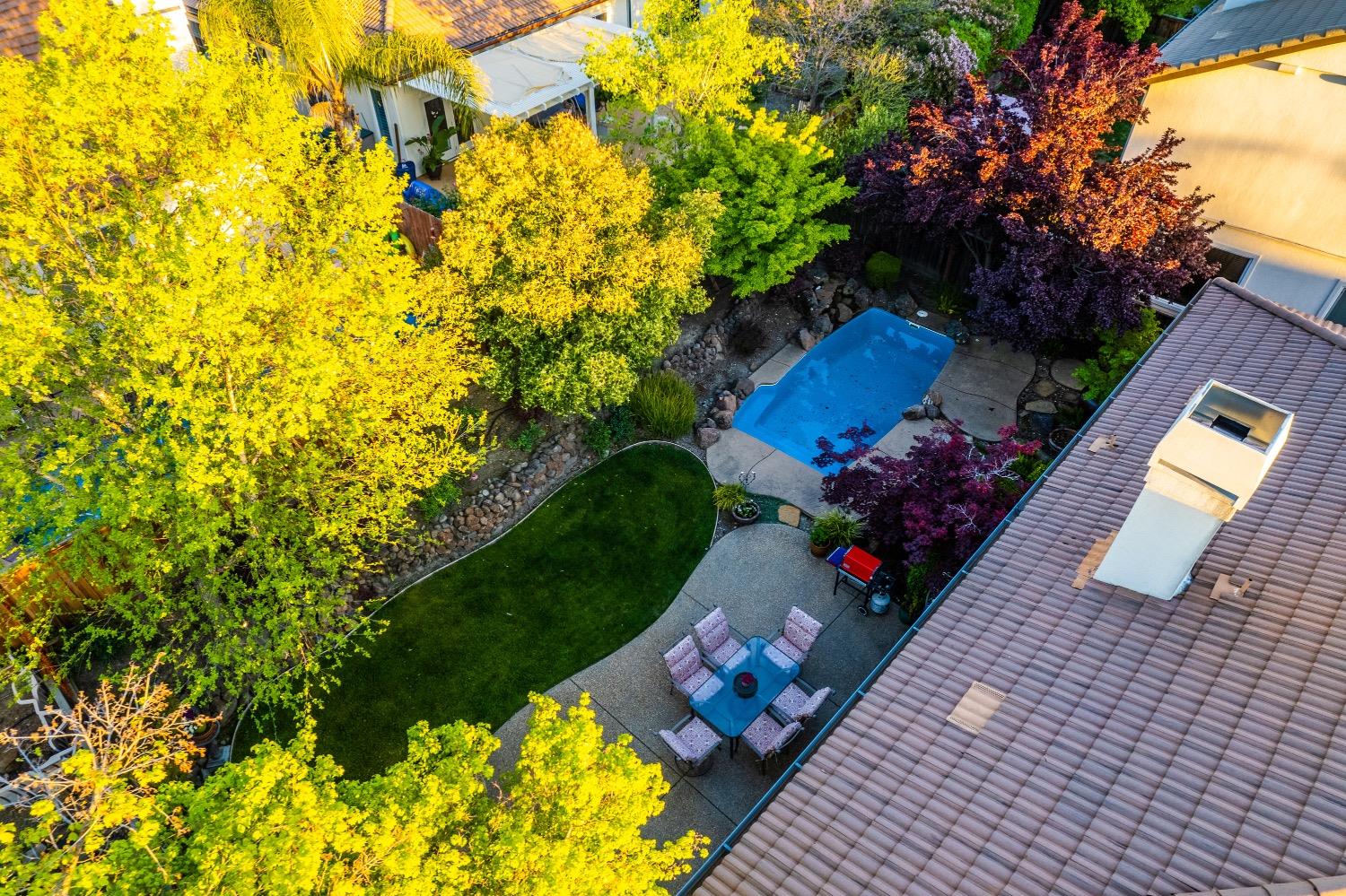 2557 Century Oak Drive