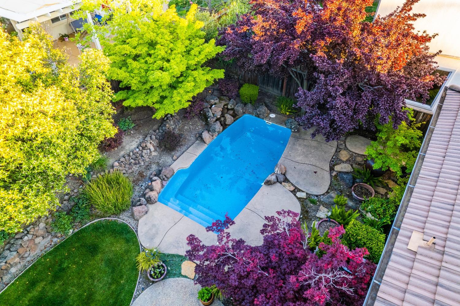 2557 Century Oak Drive