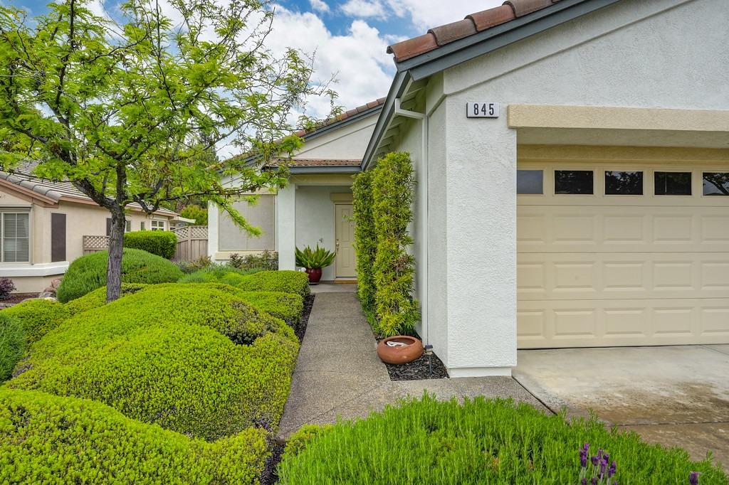 845 Dogwood Loop