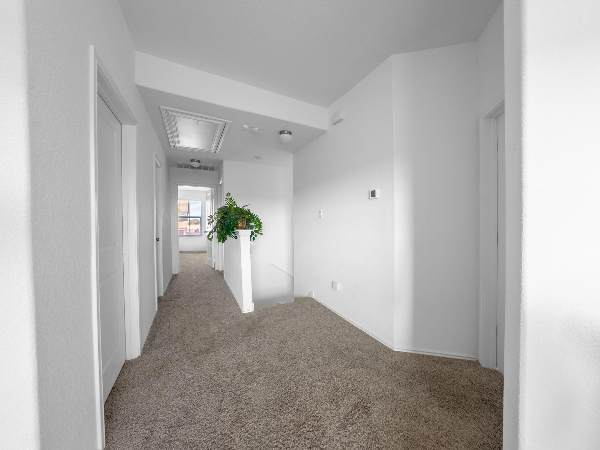 313 Majestic Cedar DR