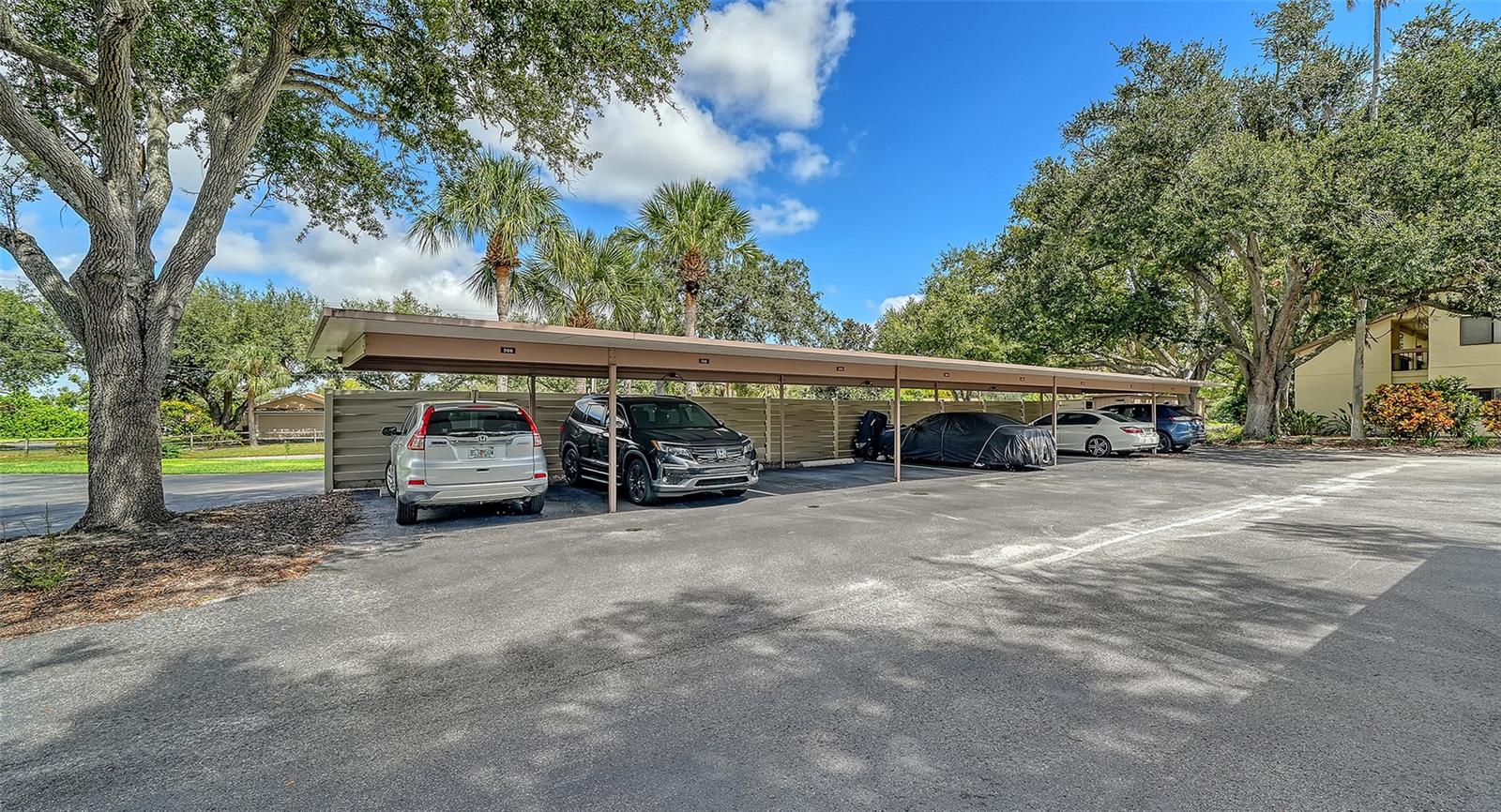 740 WHITE PINE TREE RD #205