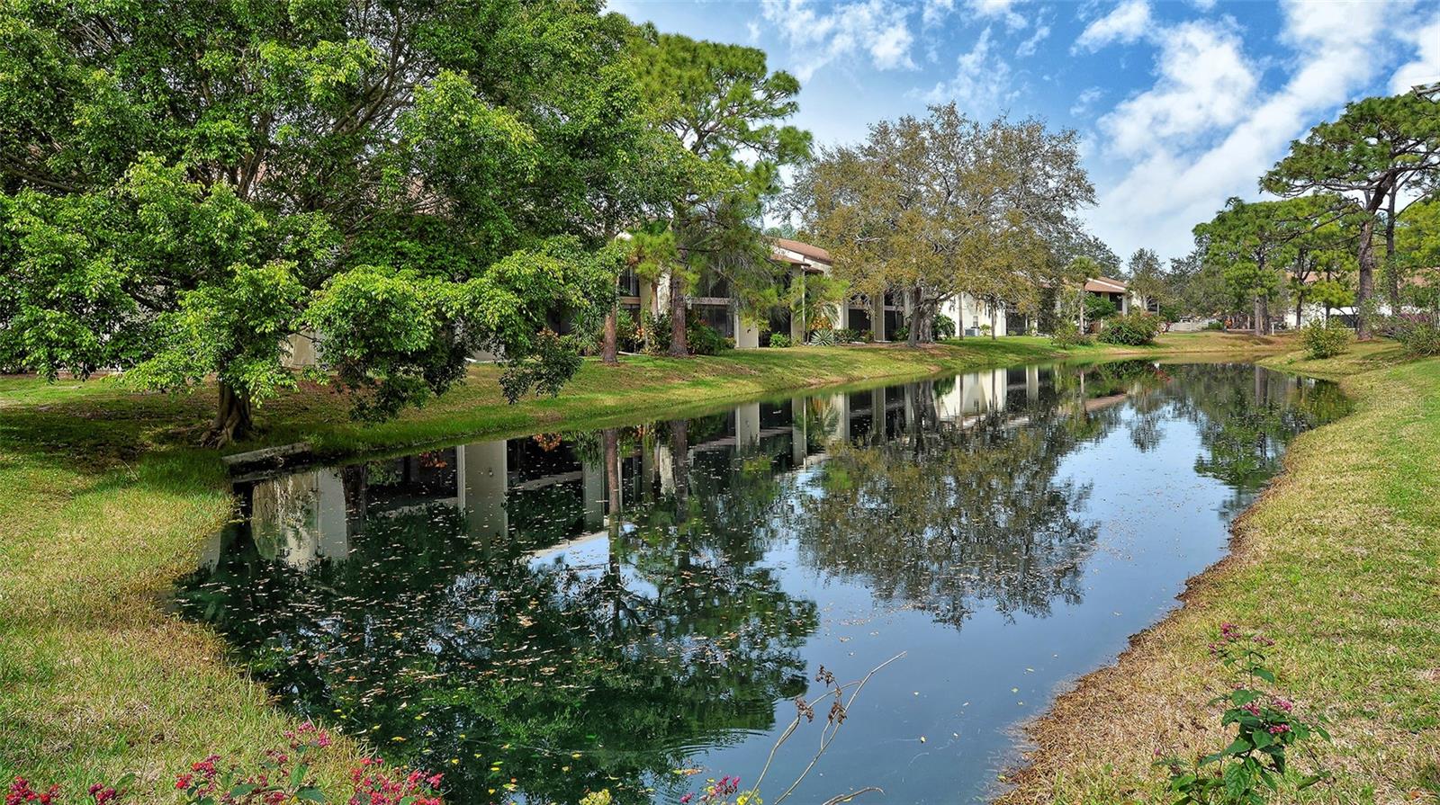 740 WHITE PINE TREE RD #205