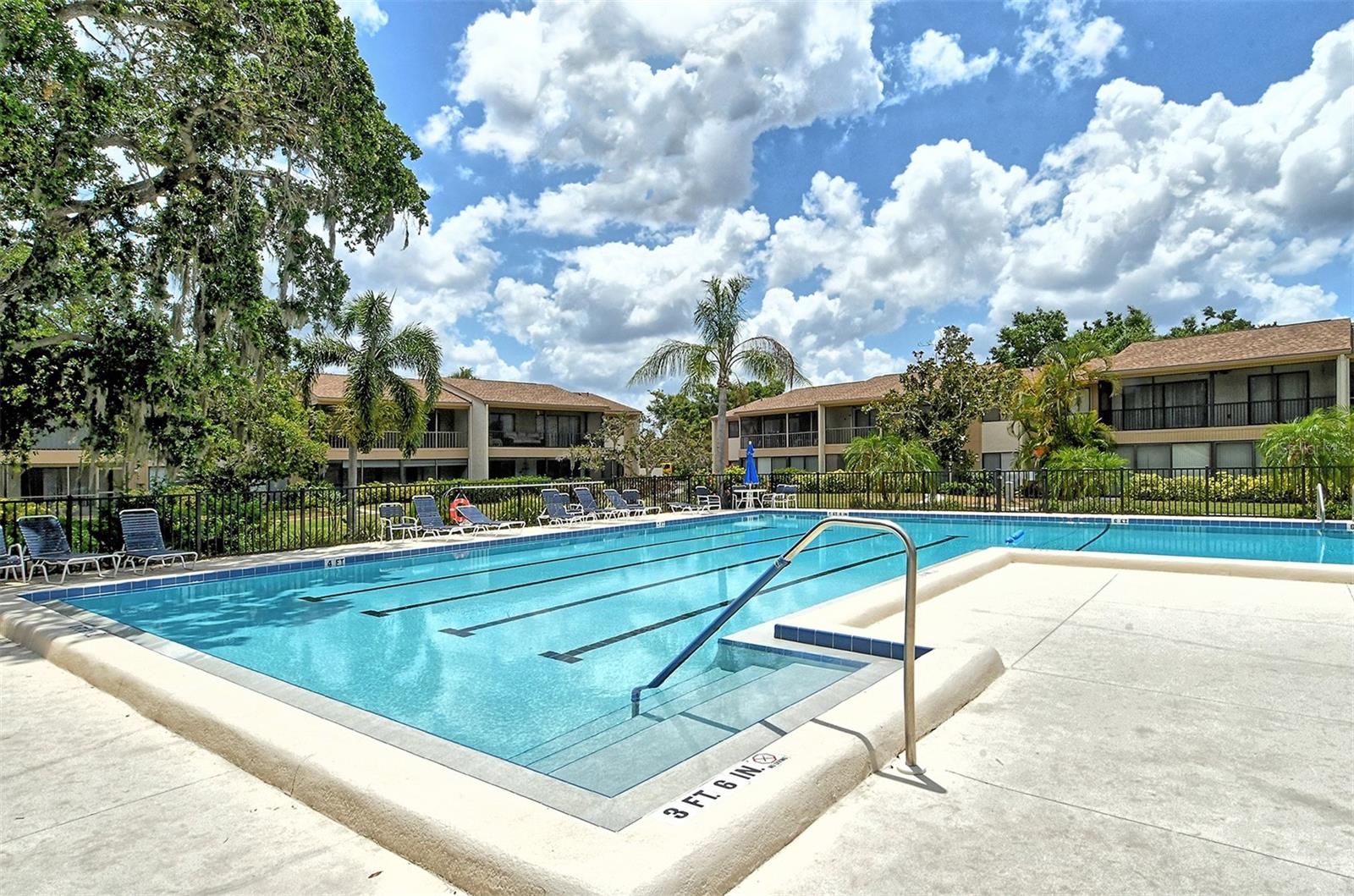 740 WHITE PINE TREE RD #205