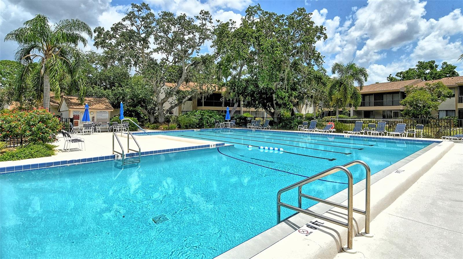 740 WHITE PINE TREE RD #205