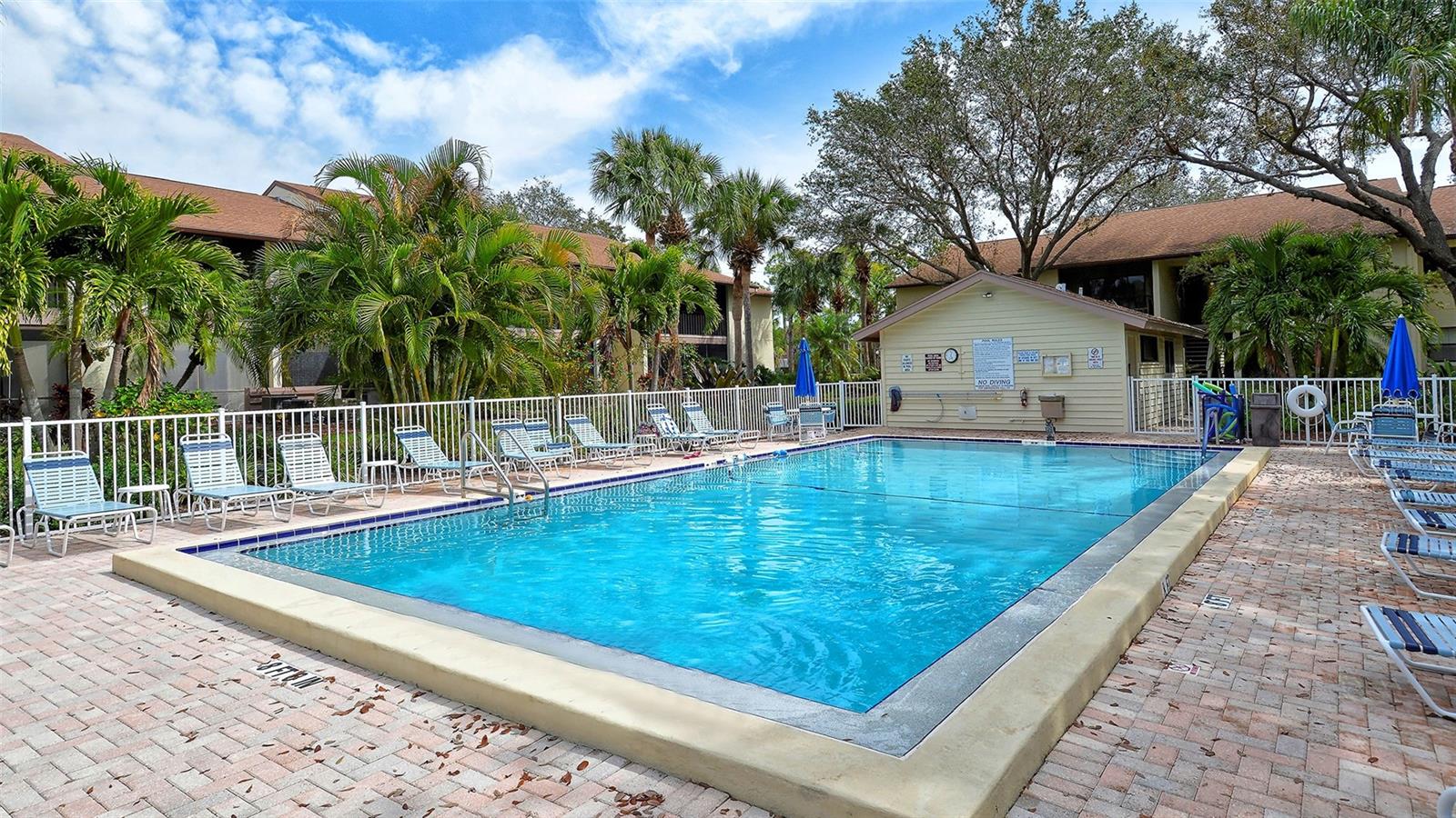 740 WHITE PINE TREE RD #205