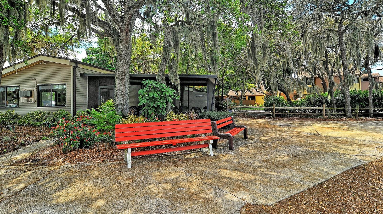 740 WHITE PINE TREE RD #205