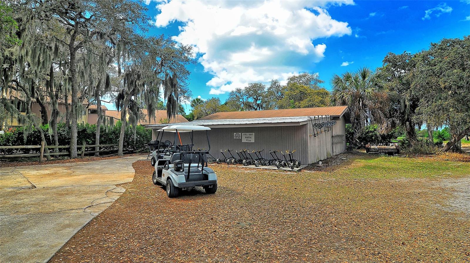 740 WHITE PINE TREE RD #205