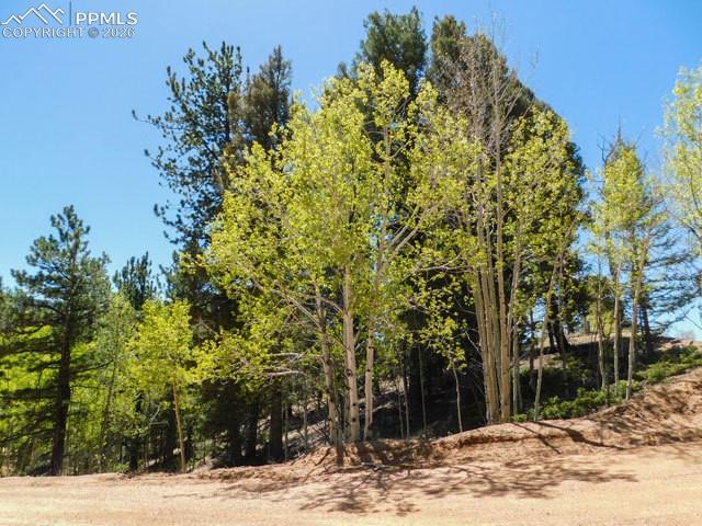 51 Mariposa Drive