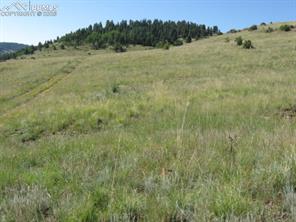 Lot 1-2 Shideler Avenue