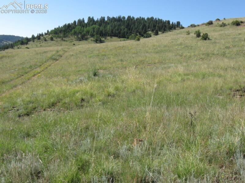 Lot 1-2 Shideler Avenue