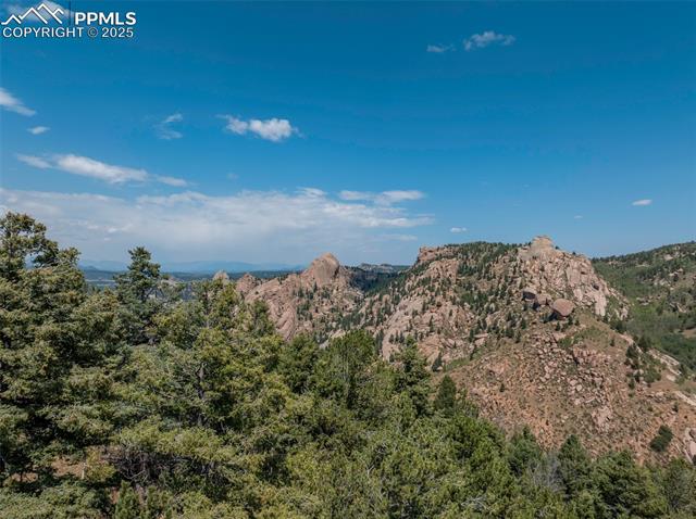 1151 Dandy Jim Drive