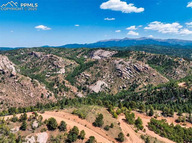 1151 Dandy Jim Drive