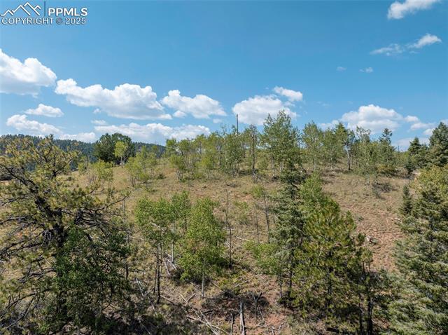 1151 Dandy Jim Drive